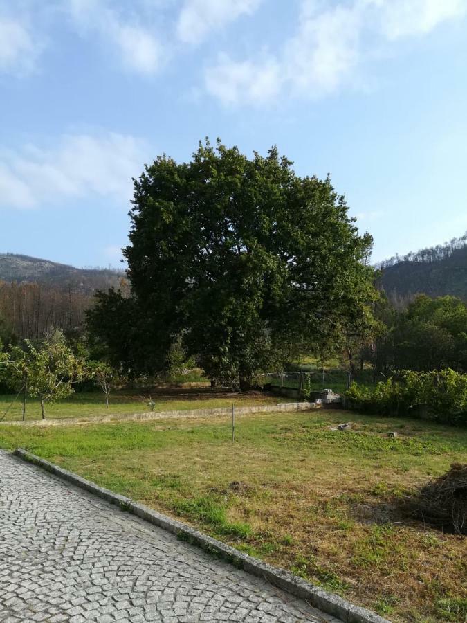 Casa Dos Lacos Viseu Kültér fotó